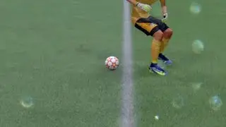 FIFA blatant script