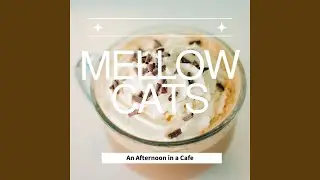 Coffee Hues