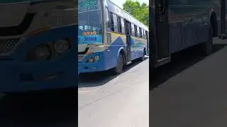 #Tamil Nadu #government #transport #Bus &&&