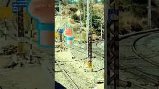 Catch siding ....