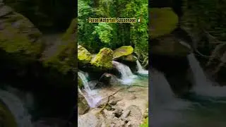 Waterfall in Grenoble 🇫🇷 Best place to explore nature❣️#naturelovers #views #skoon #shorts