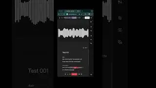 Multi language support transcription