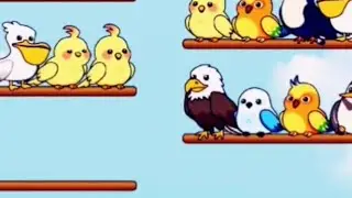 Bird Sort Puzzle 🧩 095