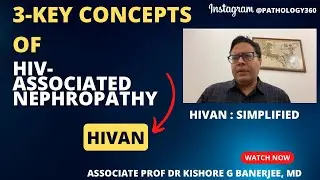 HIV-associated nephropathy (HIVAN) : the classic kidney disease associated with HIV infection