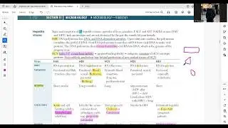 High Yield Points About Hepatitis