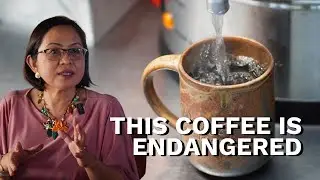 How One Family Is Keeping This Filipino Coffee Alive
