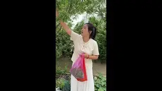 #vlog日常 #毕业典礼 #家长会 #孩子长大了 忙绿的一天，孩子的成长