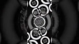 TG 1267 04 Find and Hold by COH meets Abul Mogard  #touchdesigner