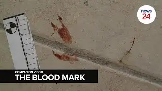 BONUS FEATURE | The Inge Lotz Story: A Miscarriage of Justice - The blood mark