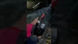 SEBARAU SAMBAR POPPER #fishing #angler #carpfishing #sebarau