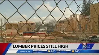 U.S. lumber prices remain high
