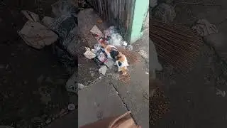 Kasihan Kepalanya Sakit