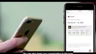 Introducing Modo Analyze