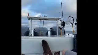 Epic Deep Sea Fishing Adventure 🎣 Catching Giants in the Open Ocean! #Fishing #Adventure