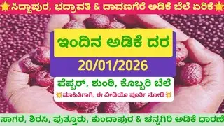 ದಿನಾಂಕ: 20.01.2026ರ ಅಡಿಕೆ ರೇಟ್ / Areca nut price date:20.01.2026 |kannada|