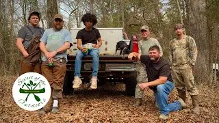 Squirrel Hunting with Dogs