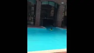 Momo swimming
