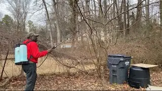 Spraying Fruit Trees With Dormant Oil and Copper Fungicide