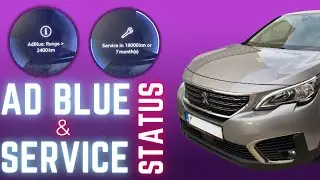 How to - AdBlue & SERVICE STATUS - Peugeot - Tutorial Help