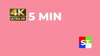4K 5 Minute Pink Screen (No Sound) | 5 Minutos Pantalla Rosa | Ambient Light & Pixel Test