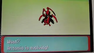 Pok&eacute;mon Quetzal: Antonio the Kricketot Evolves into Kricketune!
