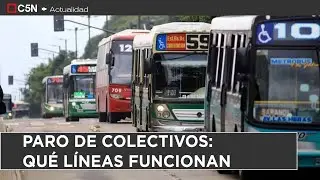 PARO de COLECTIVOS: QUÉ LÍNEAS SÍ FUNCIONAN