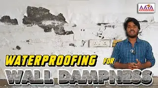 Is the paint peeling off the wall? Wall Dampness waterproofing | Aara Company