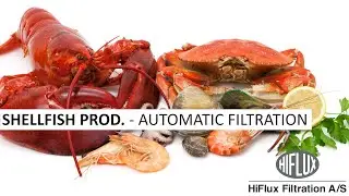 Filtration of shellfish - Auto-line self-cleaning filter