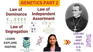 Law of Segregation and Independent Assortment | Mendelian Genetics | CSIR-NET| NEET | ICMR | UG | PG