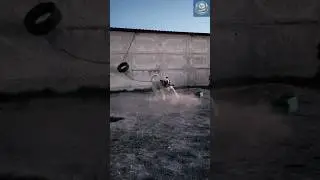 Kangal Dog vs Predator &ndash; Real Footage of Unstoppable Protection&rdquo;