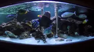 750 gallon tank