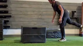 Single Leg Balance and Reach