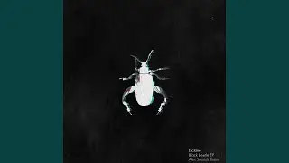Black Beetle (Original Mix)