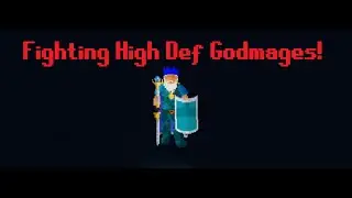 Fighting High Def Godmages! #RSCVanilla