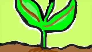 Just A Little Seed (I've Got Potential) by Liz Buchanan