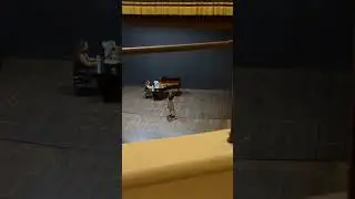 “Una voce poco fa” (da “Il Barbiere di Siviglia”)
