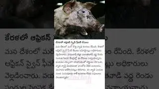 #mananellore #manasamasya #mananelloremanasamasya #nellore #samasya #mana #nellorevideos #