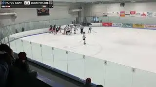 Buffalo Wild Wings Woodchipper Classic - Pool F Game 2 - Eden Prairie at Fargo Freeze Gray EP Goal 7