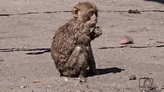 TIERPARK 2020 BERLIN
