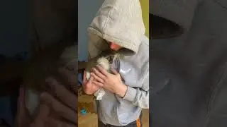 Добрий ранок від Рікі 😁