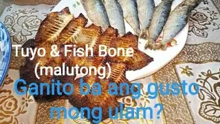 sari-saring Daing mula Roxas City Capiz available online | We Export Worldwide | Thirdys #driedfish