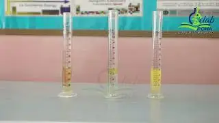 To Demonstrate that miscible liquids dissolve in each other and immiscible do not By Dr. Riaz