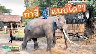ตามติดชีวิต #พลายศักดิ์สุรินทร์ 4 ก.พ. 2568 แอดมินครบทีม สาระเอาไว้ทีหลัง ความไปเรื่อยต้องมาก่อน