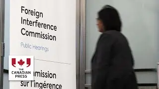 Diaspora groups tell inquiry that regimes target relatives back home