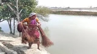 Amazing Village Women Catching Fish With Net | Villages Women Cast Netting Fish Video