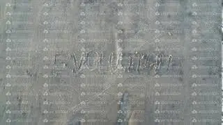 Word evolution writtern on beach sand is being washed off by ocean waves. Sign concept. Human being