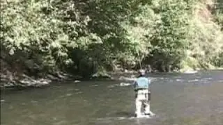 fly fishing for steelhead on the Kalama river in washington