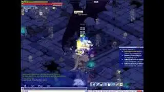[Trickster]Priest VS Chaos Boss 72nd floor .wmv