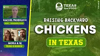 Raising Backyard Chickens in Texas