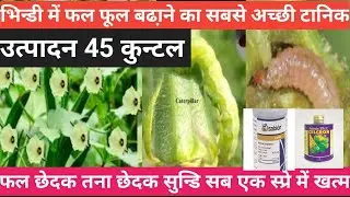 भिन्डी में फल फूल बढा़ने का सबसे अच्छी टानिक फल छेदक तना छेदक सुन्डि सब एक स्प्रे में खत्म 